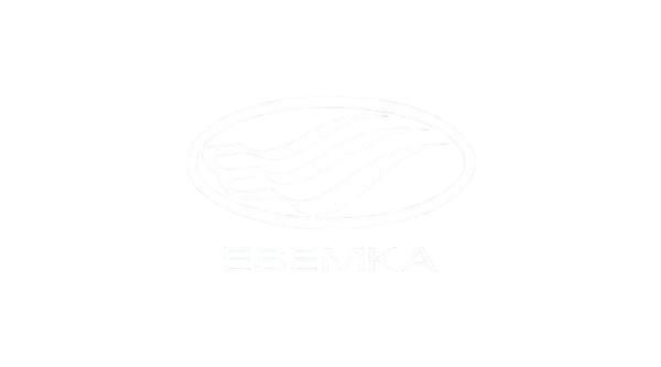 Esemka OHM LOGO