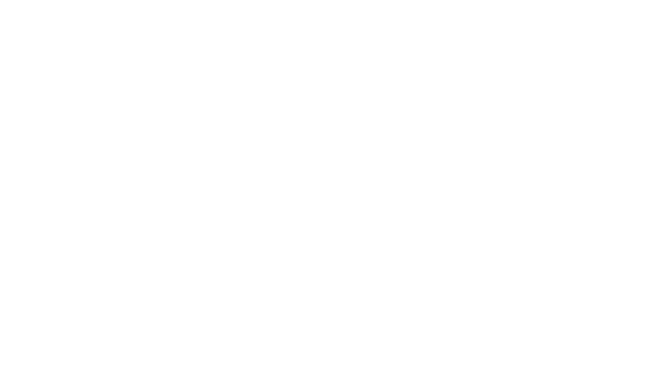 Logo DFSK OEM