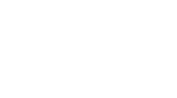 Logo Suzuki OEM